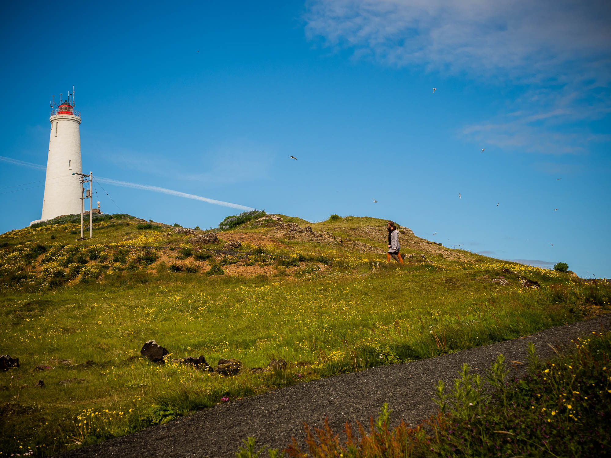 Export x3 P1011076 Fotoshooting Island 2020 Anastasia & Benedikt